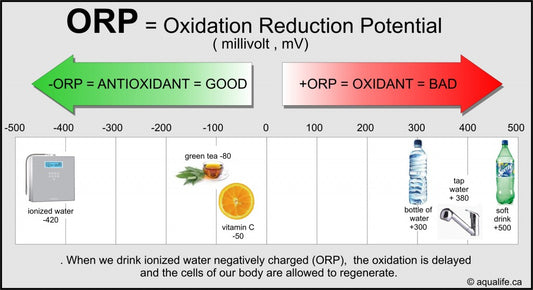 Unlocking the Power of pH and ORP: Why They're Vital for Your Health